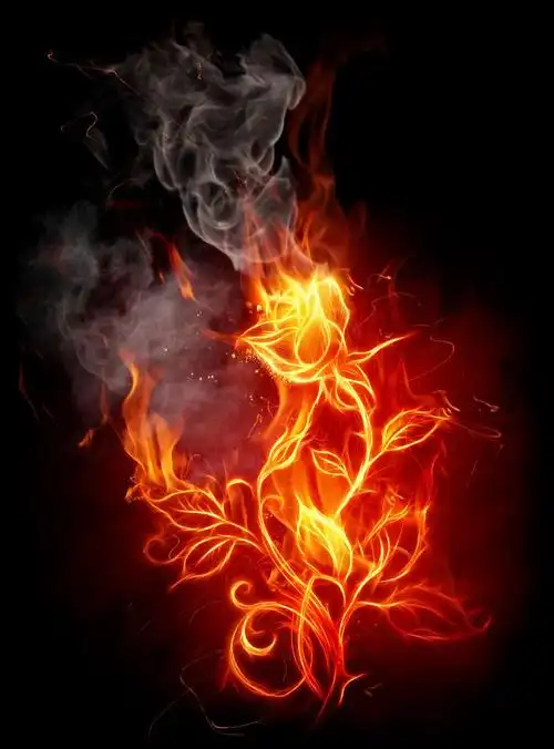 黑色背景下燃烧的玫瑰