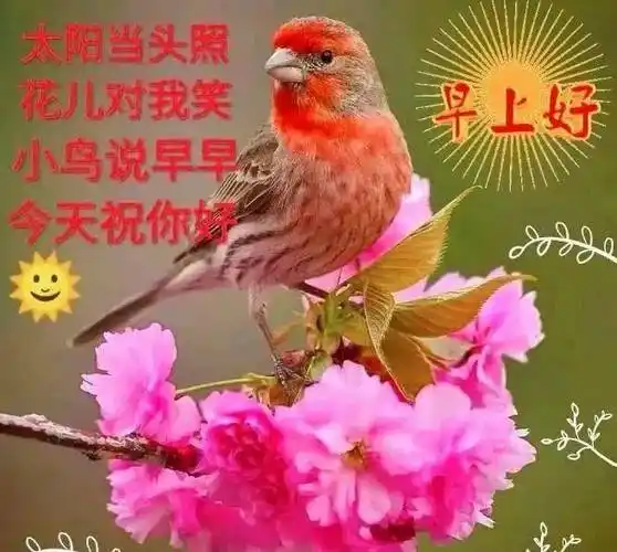 原创8张最新创意唯美亲人朋友早上好祝福语图片免打字夏日清晨友谊