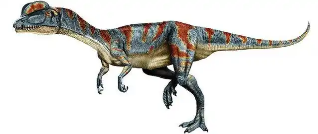 真问真答 20160204 -百家号