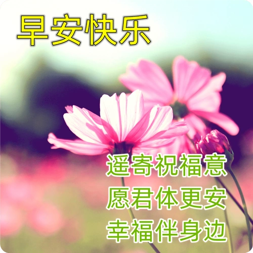 9张最新清新漂亮早上好图片带祝福语 冬日清晨早上好问候语温馨句子