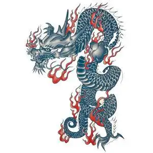 span class=h>纹身 /span> span class=h>贴 /span>过肩龙  span