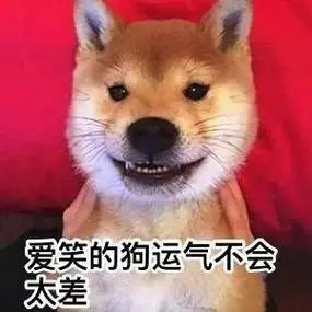一组柴犬doge微信表情 - 斗图表情包 - 斗图神器 - adoutu.com