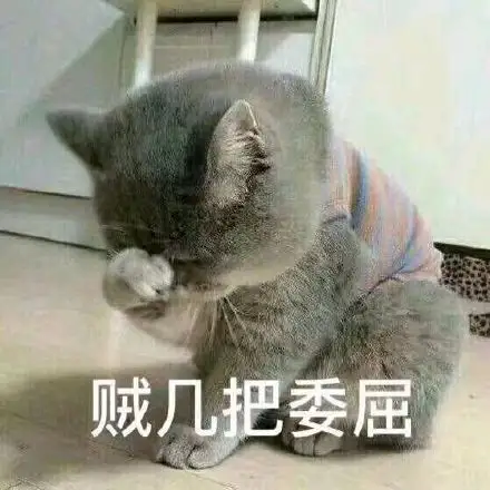 贼几把委屈_猫咪_几把_委屈表情