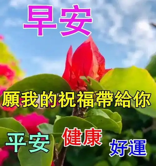 早上醒来笑一笑,中午睡个美容觉,晚上烦恼都跑掉,明天生活会更好,幸福