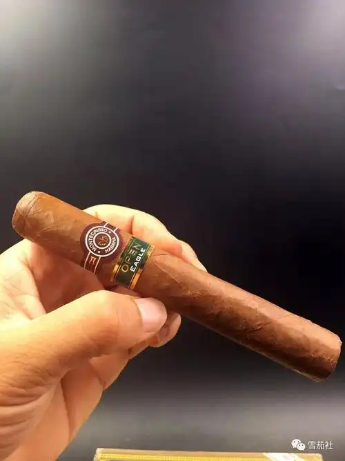 古巴出货量最大的雪茄品牌是蒙特7款最值得尝试的单品