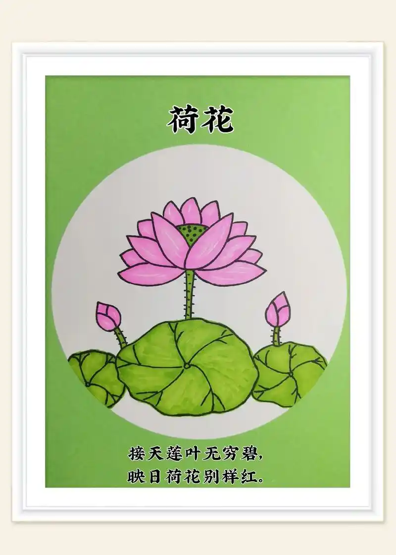 荷花简笔画."接天莲叶无穷碧,映日荷花别样红."夏天的荷花开 - 抖音