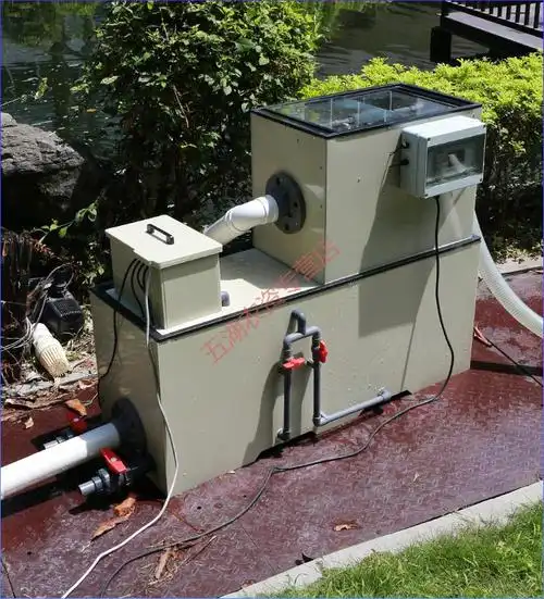 转鼓微滤机鱼池水产养殖过滤器免换水智能反冲洗过滤20t/小时自玺 20