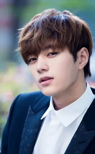 金明洙所属组合:infinite 组合担当:门面 副主唱外文名:l国籍:韩国