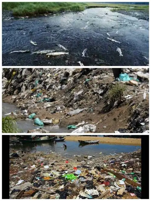 其它 世界环境日‖关爱自然,刻不容缓 写美篇在生活中,很多破坏环境的