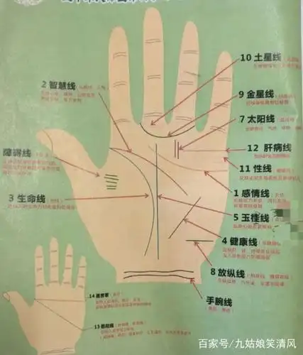 掌纹这样看最易懂--我的手相掌纹学习笔记