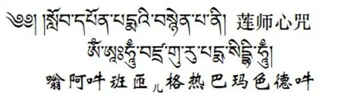 最新莲师心咒感应录