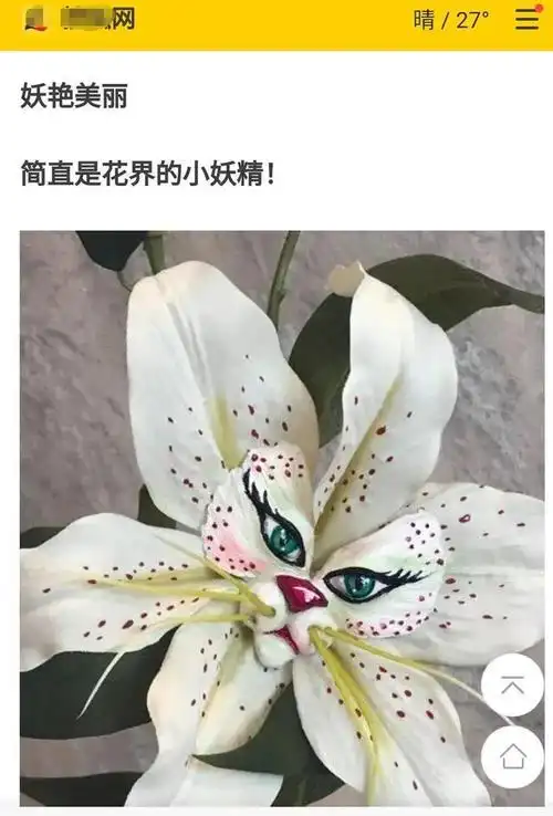 揭秘15种"稀世奇花",他们的稀奇美艳吸引无数人,真真假假