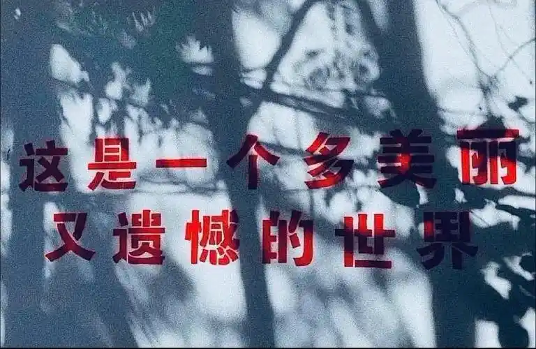 这是一个多美丽又遗憾的世界