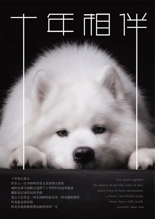 1280_1810竖版 竖屏