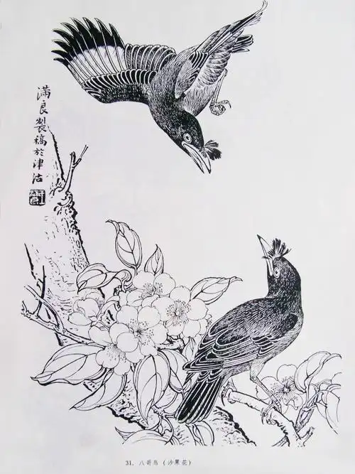 王满良白描花鸟作品欣赏