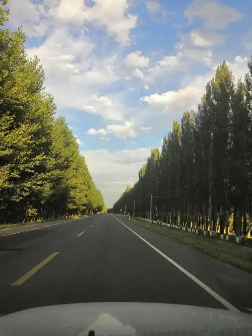 新疆西游记之风景在路上