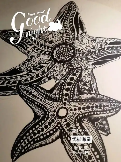 线描99海星99晚安啦#画画  #线描