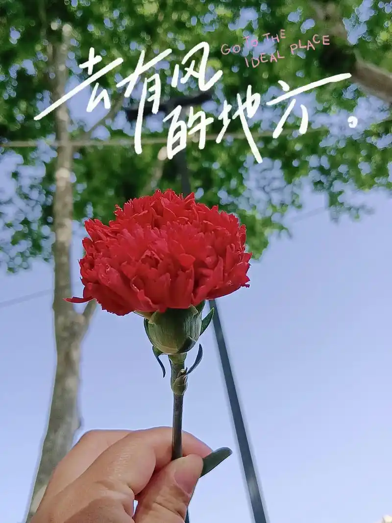 一段感情刚开始的时候都是向往着美好,可.可是后来发现,时间久 - 抖音