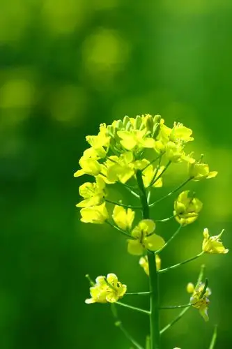 原图欣赏-太平洋摄影部落