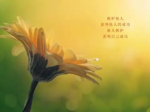 句句穿心人生感悟唯美文字图片,图片大全,高清,图库-回车桌面