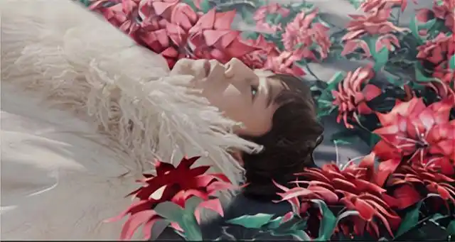 藏海花是什么花啊