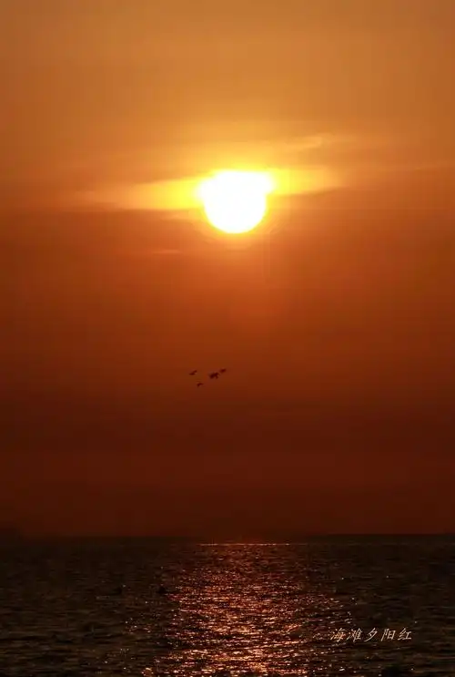 海滩夕阳红9