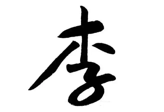 世界姓氏排名李位列榜首史密斯第三