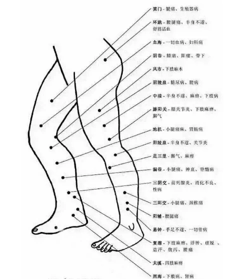 1,箕门穴的作用 —— 治疗腿痛,生殖器病2,环跳穴的作用 —— 治疗