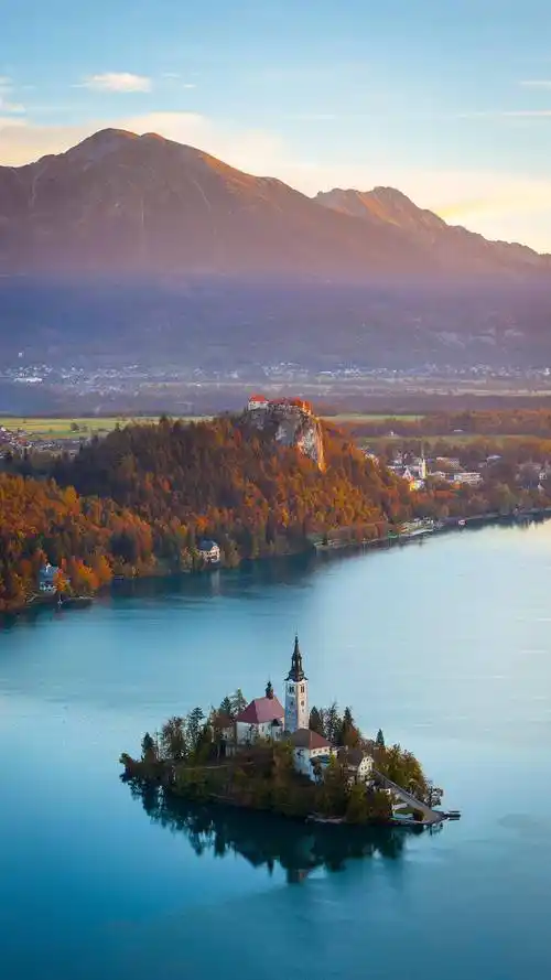 壁纸且听风吟静待花开