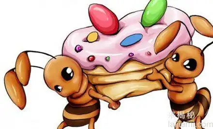 蚂蚁为什么总是不停的搬运食物?