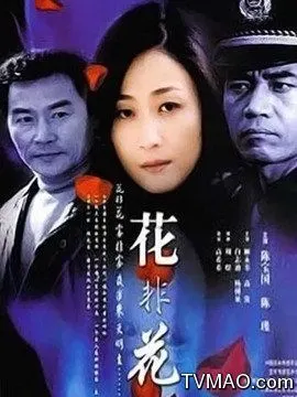 花非花(电视剧)