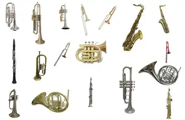 乐器是怎么分类的你了解吗?