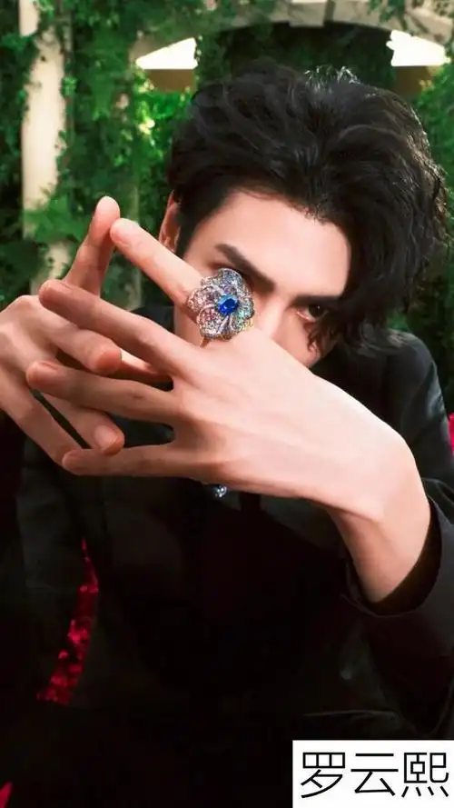 男明星的手有多好看|雪中悍刀行_网易订阅