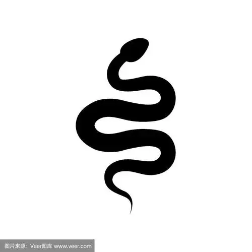 蛇图标,标志孤立在白色背景