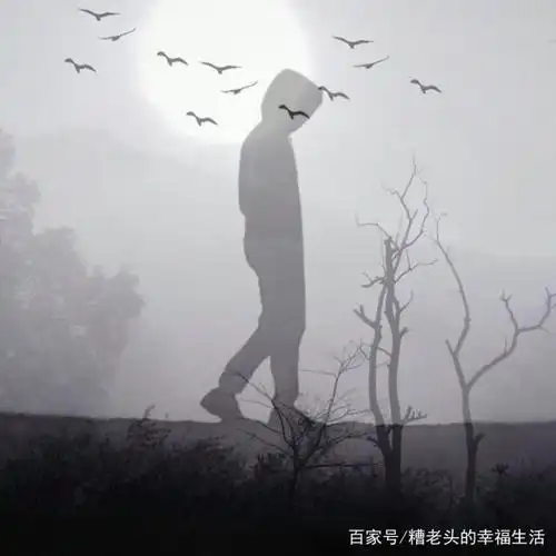 每一个人,都有一种无法说出的孤独感