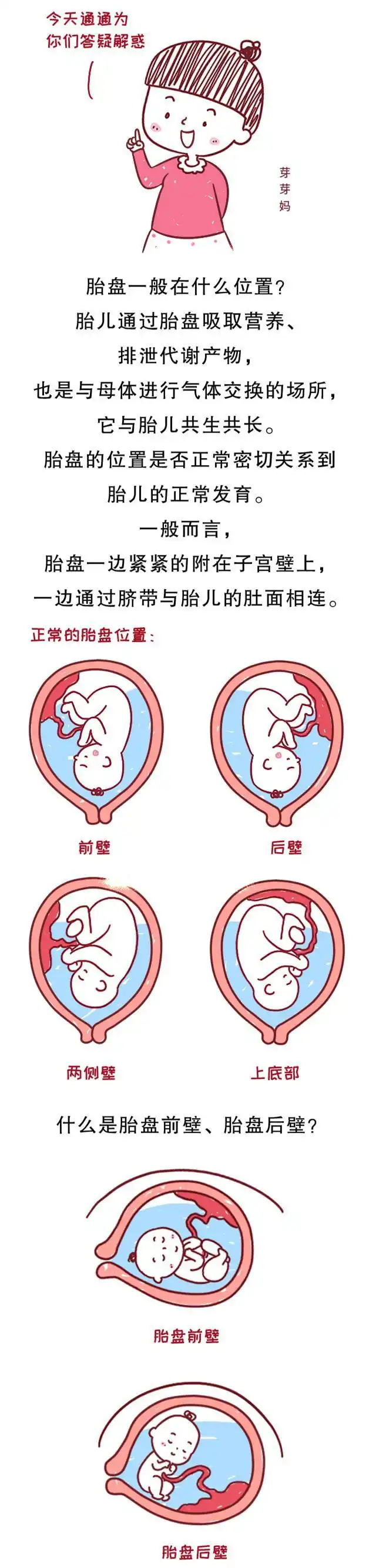 胎盘前壁和胎盘后壁哪个更好生?答案就是那么让人出乎意料