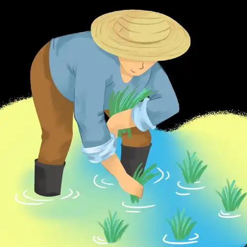 椒江"全能"的街道干部,这回他们下地帮农民种田了!