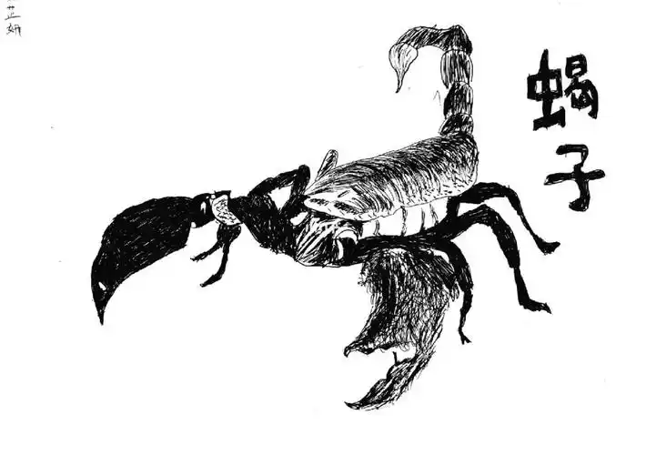 一二年级线描作品昆虫