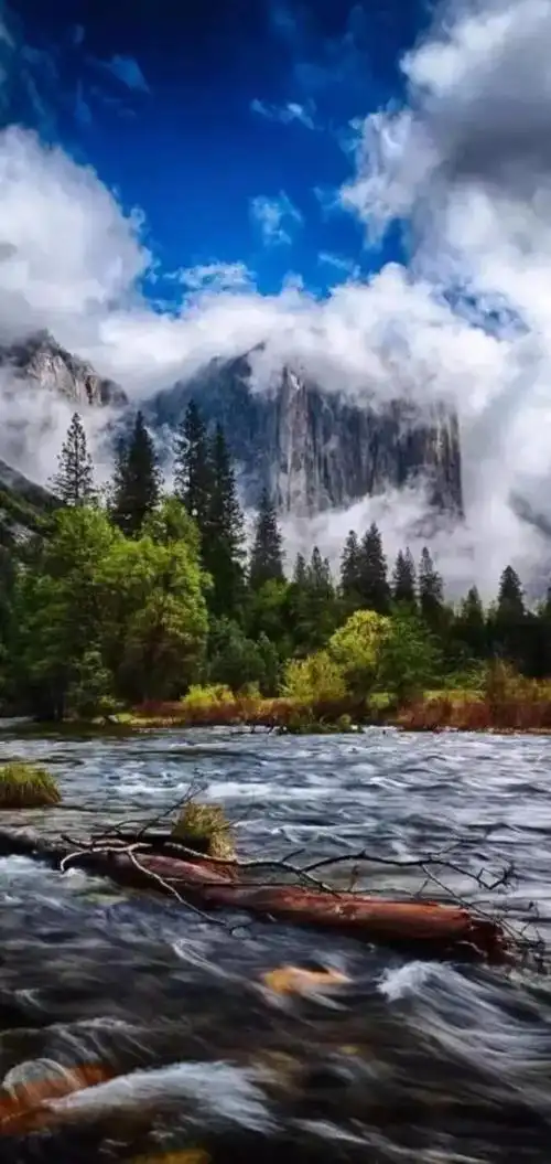 640_1351竖版 竖屏