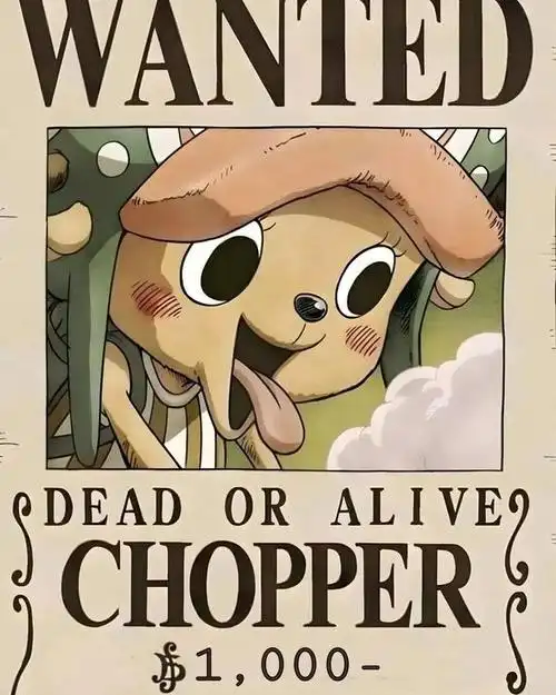 与海贼的实力有很大的关系,所以,很多海贼迷很关注海贼王悬赏金排行榜