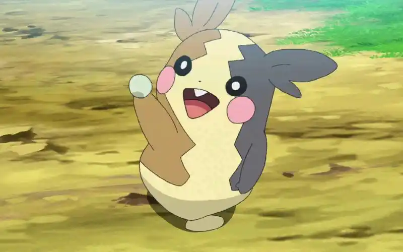 【宝可梦剑盾双打】老婆鼠莫鲁贝可