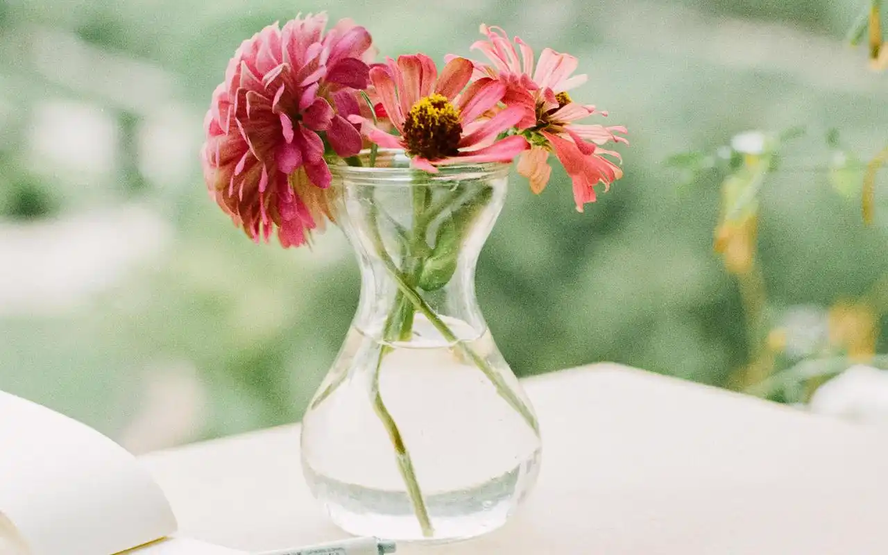 小清新日系唯美静物图片桌面壁纸