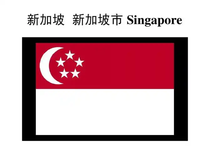 为了让小学生更好的认识各国国旗 新加坡 新加坡市 singapore