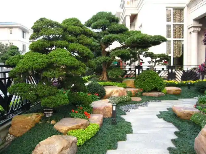 庭院景观石的风水与艺术