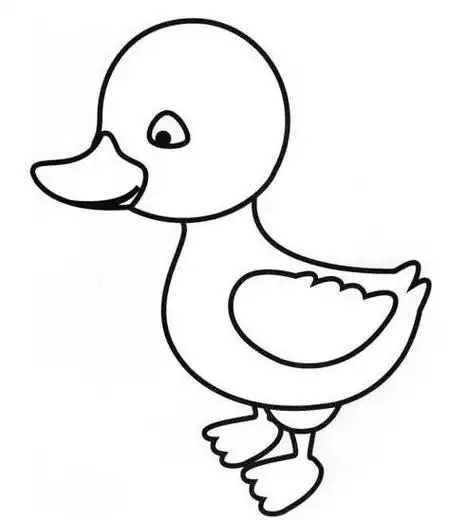 鸭子怎么画简笔画 可爱的小鸭子怎么画简笔画
