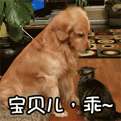 【男生专用表情包|男生专用调戏哄老婆女朋友表情包】-九蛙工具箱