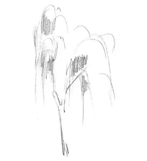 素描垂柳的绘画技法