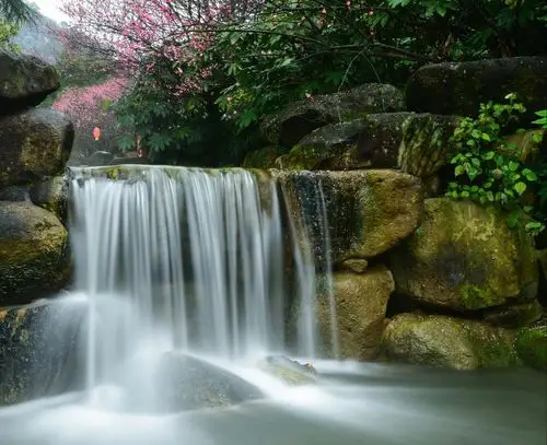 我惦记着地下长河的那几株梅花,所以就冒雨前往了.
