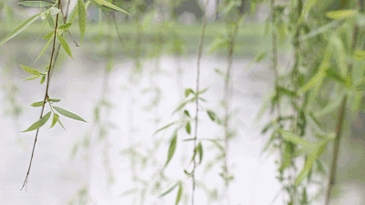 六款清新淡雅香水,像体香一样自然,不喷香水的你也会爱上!