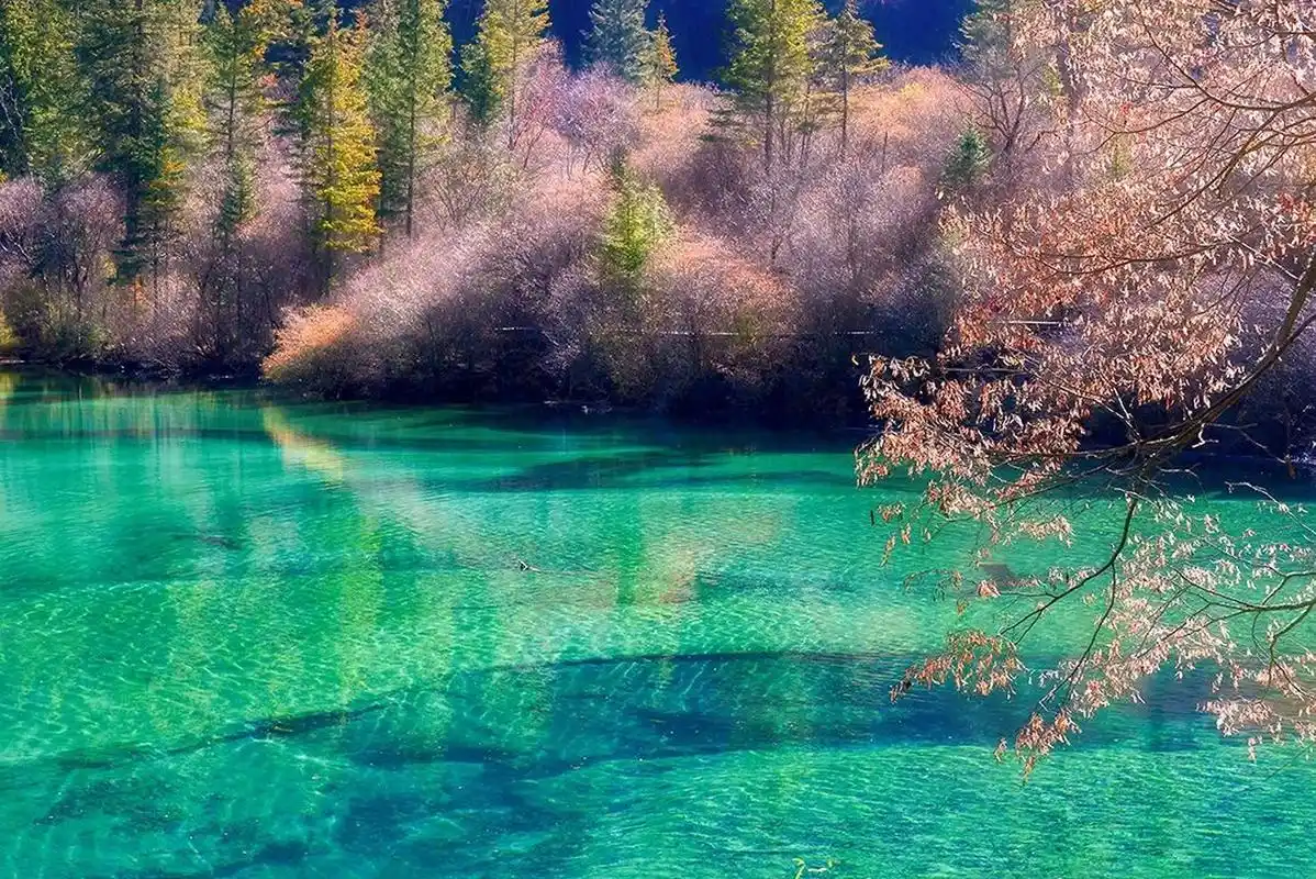 迷人的自然风景 i  人间仙境九寨沟 踏进九寨沟,碧绿的湖水,白雪皑皑
